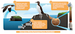 turn complex science into a compelling graphical abstract