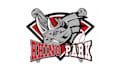 design remarkable youth baseball facility logo