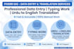do data entry typing work and urdu to english  translation