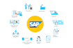 provide professional consultation service regarding sap erp