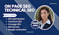 do technical shopify SEO, woocommerce optimization and google verification