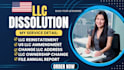 do US llc, corp reinstatement, file dissolution, terminate, ammendment  US llc