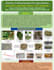 do green nanotechnology and materials science research