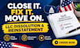 do US llc or corp reinstatement, amendment , dissolution