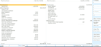 do professional accouts and auditing for individuals,company