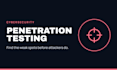 do website penetration testing and vulnerability assessment