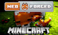 develop a custom minecraft neoforge mod with advanced features gameplay system