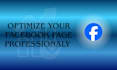 optimize your facebook page professionally