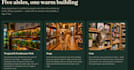 develop a website for your business