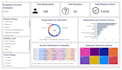 create interactive data dashboard and data visualization