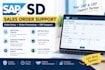 sap sd sales order entry and erp support