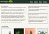fix HTML and CSS issues on your website