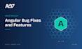 fix bugs and build new features in your angular application