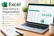 do accurate excel data entry and data organization