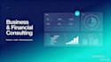 do professional financial, audit and business consulting
