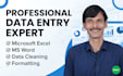 do ms excel data entry,i am an expert in microsoft excel