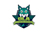 design a professional school mascot logo