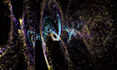 create stunning 3d abstract animation and visual effects