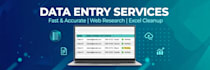do fast and accurate data entry web research and excel data cleanup