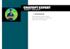 write professional chatgpt prompts for your business