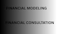 do financial consultation, financial modeling