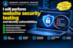 perform website security testing and identify vulnerabilities