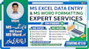 do professitional ms excel data entry and ms word formatting