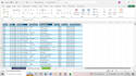 do microsoft excel data entry, data cleaning and data analysis