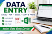 do data entry, exel, copy paste and pdf to excel