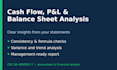 analyze your cash flow, income statement and balance sheet