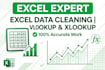 do excel data cleaning, do vlookup formulas and dashboard
