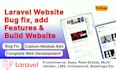 do laravel website bug fix, add features, build website