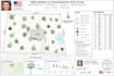 create a professional tree survey map and topographic site plan