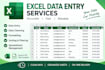 do excel data entry and spreadsheet management