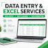 provide data entry and excel services