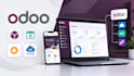 do odoo module development, website, customization and API