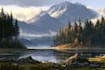 design a landscape illustration