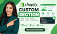 buildshopify custom section liquid section custom block shopify 20 theme section