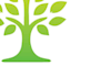 design modern awesome tree logo