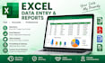 excel data report and data analysis