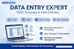 do accurate data entry, excel typing, pdf to excel and web research