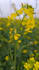 provide beautiful nature and scenery photography