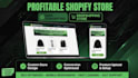 create a profitable shopify store,shopify