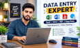 be your data entry expert and data cleaning