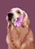 design custom pet portrait