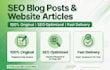 write SEO blog posts and website articles