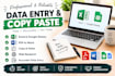 do accurate data entry and copy paste tasks