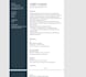 provide expert sap hcm payroll and time consulting