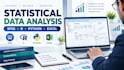 do statistical and econometric data analysis