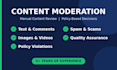 provide professional content moderation and trust and safety services